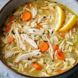 A bowl of chicken orzo soup featuring shredded chicken, carrots, celery, and lemon slices.