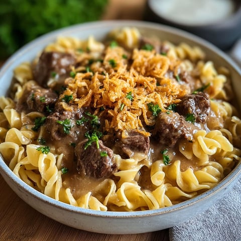 A bowl of beef and noodles with french onions.